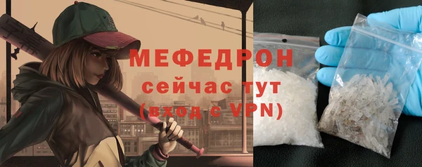индика Богородицк