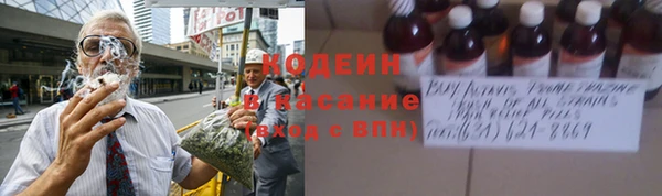 индика Богородицк