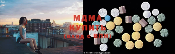 индика Богородицк