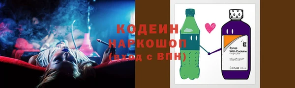 индика Богородицк