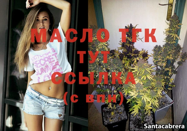 индика Богородицк