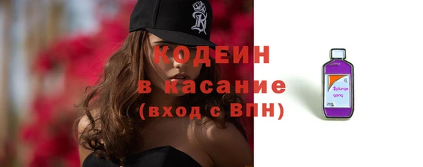 индика Богородицк