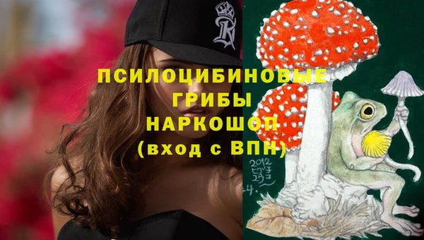 Альфа ПВП Богданович