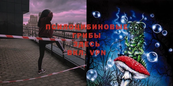 индика Богородицк