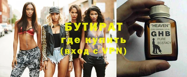 индика Богородицк