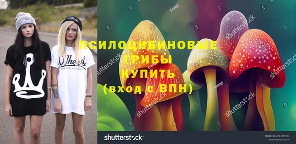 индика Богородицк