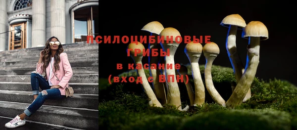 индика Богородицк