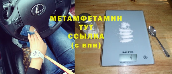 индика Богородицк