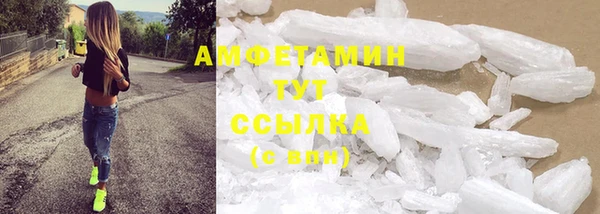 индика Богородицк