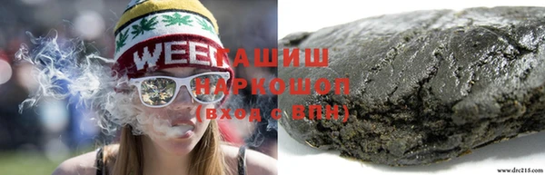 индика Богородицк
