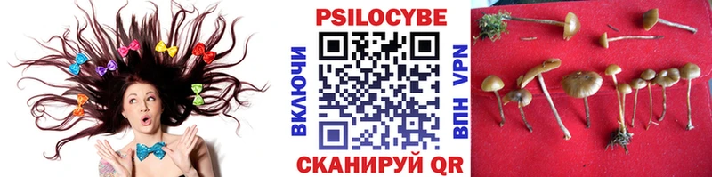 Псилоцибиновые грибы MAGIC MUSHROOMS Шелехов