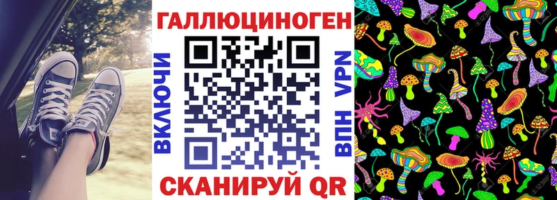 Галлюциногенные грибы Psilocybe  Шелехов 